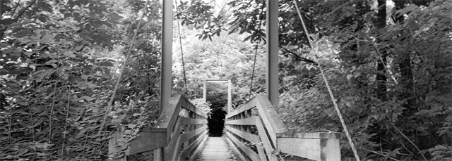 bridge in summer leaves/on which i fly a straight line/over a culvert...
