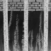 Invisible Literature: Poetry by Prisoners.